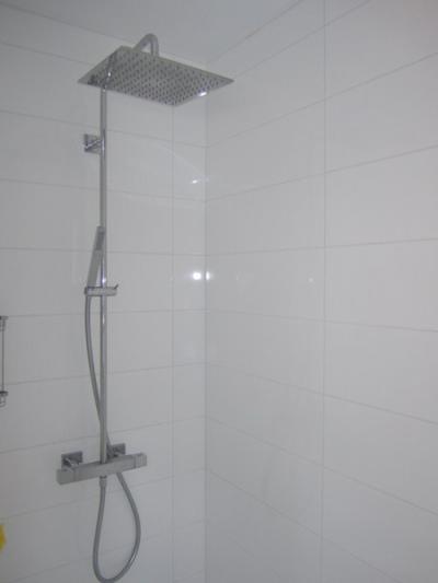 baignoire, douche, mirroir, meuble ...