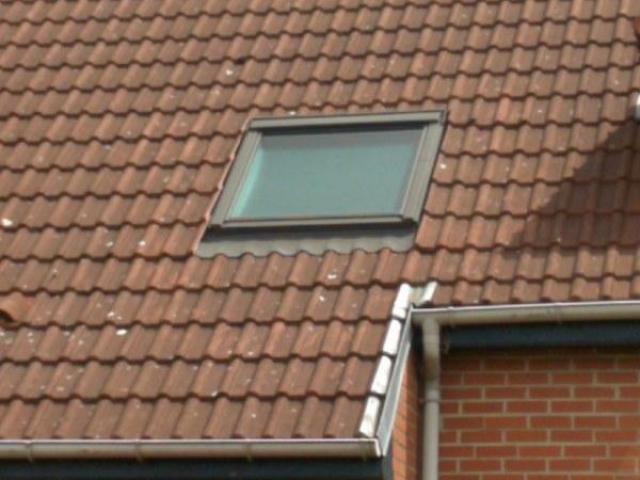 Velux