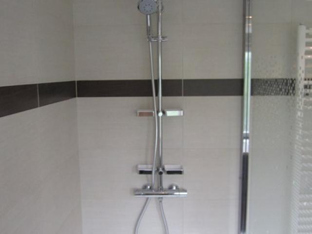 salle de bains équipée d'une grande douche