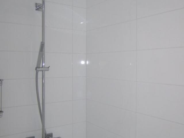 baignoire, douche, mirroir, meuble ...